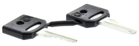 Schneider Electric Schlüsselschalter-Schlüssel Typ Schlüssel 421E Zur Verwendung Mit XALD - Serie XALK - XB4 - XB5