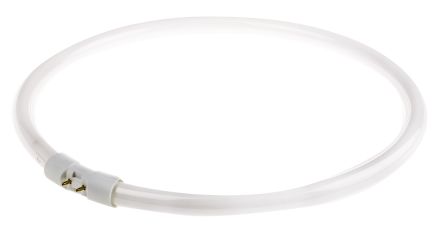 Osram 55 W T5 Circular Fluorescent Tubes, 4200 Lm, 300mm, G5