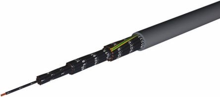 AXINDUS Câble De Commande CAELIFLEX 300/500 V, 4 X 1 Mm², 17 AWG, Gaine PVC Gris,, 50m