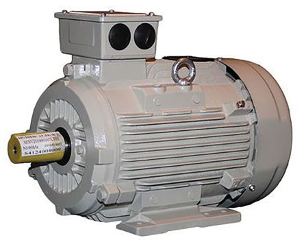 TECO-Westinghouse-ALDA-Reversible-Induction-AC-Motor