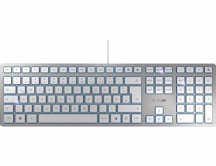 CHERRY Wired USB Keyboard, QWERTY, Silver, White