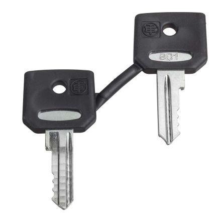 Schneider Electric Schlüsselschalter-Schlüssel Typ 2-Tasten-Satz Zur Verwendung Mit Not-Aus-Taster XB4/XB5