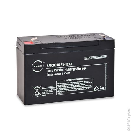 ENIX Energies Batterie Au Plomb étanche 6V 12Ah