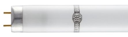 GlassGuard 36 W T8 Fluorescent Tube, Shatterproof With Fragment Retention, 1200mm, G13