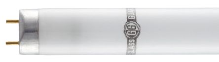 GlassGuard Tube Fluorescent, 58 W, 1500mm T8, 4000K Neutre