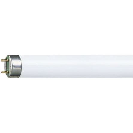 Philips Lighting Tube Fluorescent, 36 W, 1200mm T8, 6500K Neutre