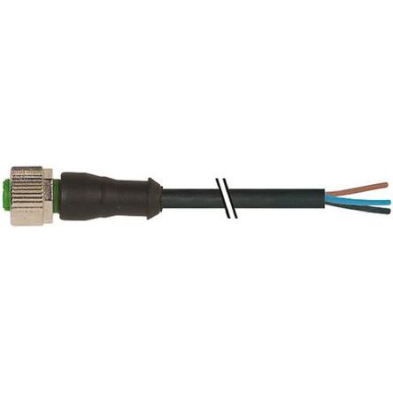 Murrelektronik Limited Câble D'actionneur, M12 Femelle Pré-câblé, 10m