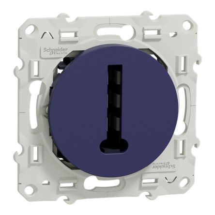 Schneider Electric Socket Blue Socket, Flush Mount