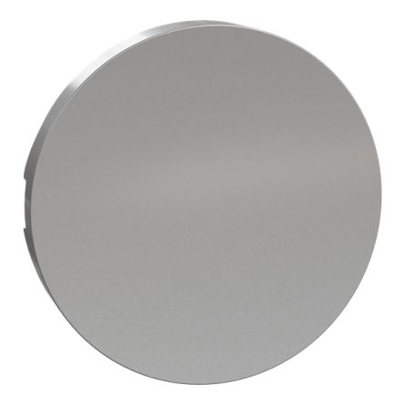 Schneider Electric S530 Grey Plug Socket