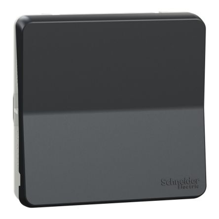 Schneider Electric Grey Push Button Light Switch, MUR