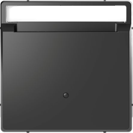 Schneider Electric Black Cover Plate