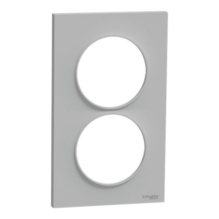 Schneider Electric 2 Gang Cover Plate