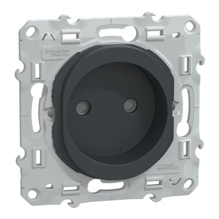 Schneider Electric Socket White Male Socket, Flush Mount