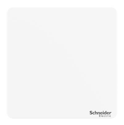 Schneider Electric BMS Surface Mount Temperature Control Module, 86 x 86mm Temperature Control