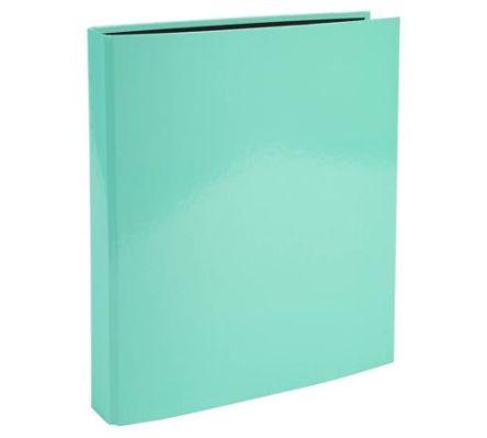 Exacompta Green A4 Ring Binder
