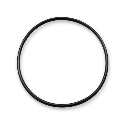 Pfannenberg O-Ring Gasket O-Ring