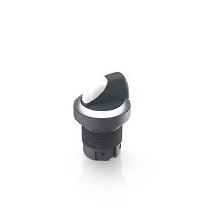 RAFI Selector Switch - 22.3mm Cutout Diameter, Illuminated 2 Positions