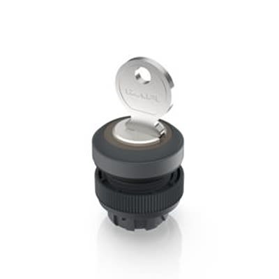 RAFI IP65 Key Switch 421-Way Tubular-Key