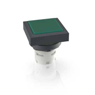 RAFI Green Push Button LED for Use with Push Buttons