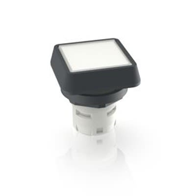RAFI White Push Button LED for Use with Push Buttons