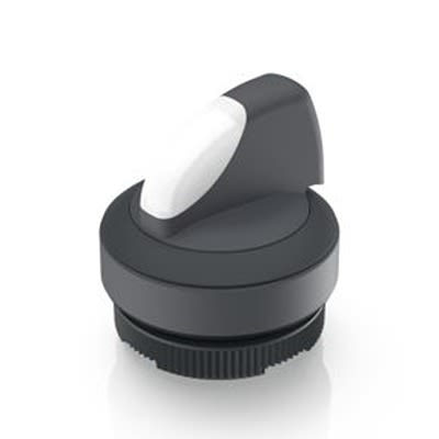 RAFI Selector Switch - 22.3mm Cutout Diameter, Illuminated 2 Positions