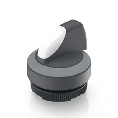 RAFI Selector Switch - 22.3mm Cutout Diameter, Illuminated 2 Positions