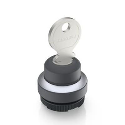 RAFI IP65 Key Switch 20-Way Tubular-Key