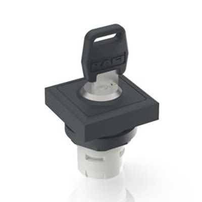 RAFI IP65 Key Switch 2-Way Flat-Key