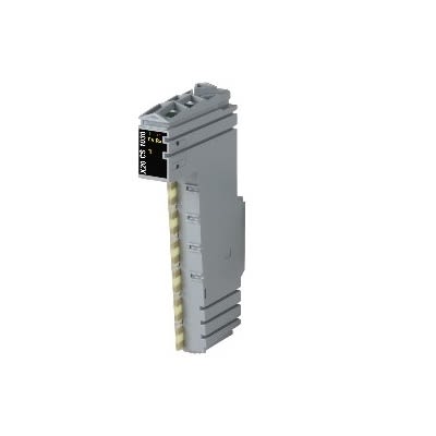 B&R Industrial Automation GmbH X20 Series Interface Module