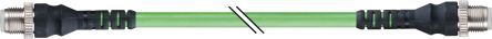 B&R Straight Male 4 way M12 to Straight Male 4 way M12 Cable, 30m