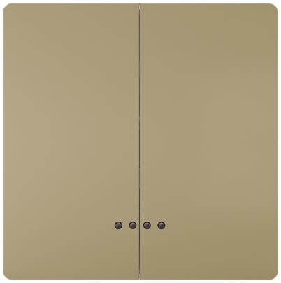 Siemens Gold Rocker Switch, 2 Way, 2 Gang, 5TG71