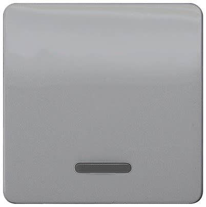 Siemens Silver Rocker Switch, 1 Way, 1 Gang, 5TG79