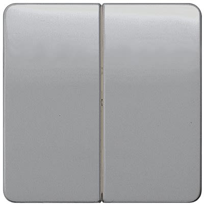 Siemens Silver Rocker Switch, 2 Way, 2 Gang, 5TG79