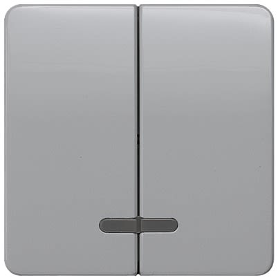 Siemens Silver Rocker Switch, 2 Way, 2 Gang, 5TG79
