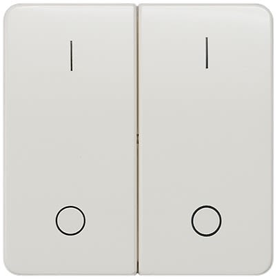 Siemens White Rocker Switch, 2 Way, 2 Gang, 5TG79