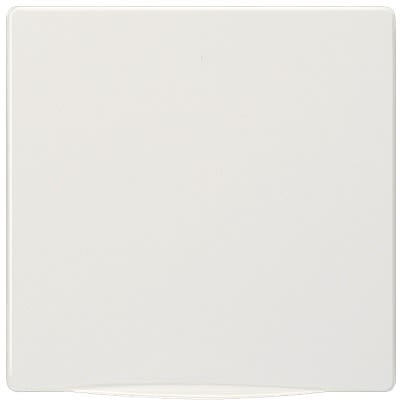 Siemens White Cover Plate Thermoplastic Cover Plate