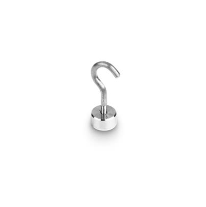 Kern 50 Calibration Weight