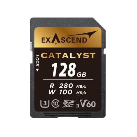 Exascend 128 GB SDXC SD Card, Class 10, UHS-II (U3), V60