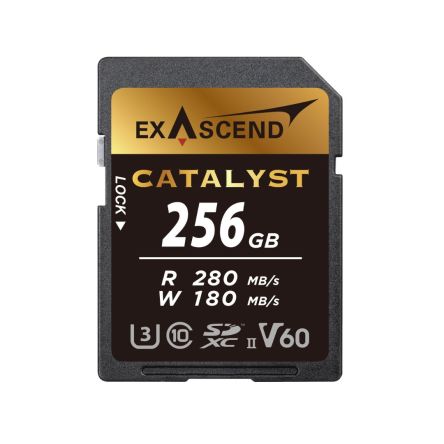 Exascend 256 GB MicroSD Micro SD Card, UHS-1