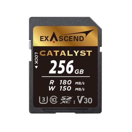 Exascend 256 GB MicroSD Micro SD Card, Class 10