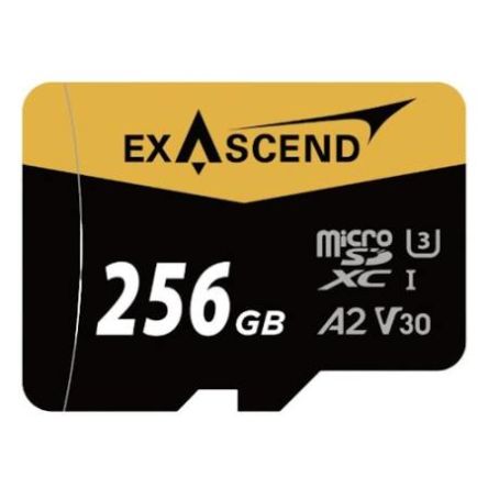 Exascend 256 GB MicroSD Micro SD Card, Class 10