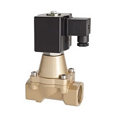 Buschjost 2/2 Pneumatic Solenoid Valve - Solenoid G 1 86720 Series 24V dc