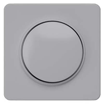 Siemens Silver 1 Gang Cover