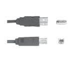 Molex, Male USB A to Male USB B, 6.6ft