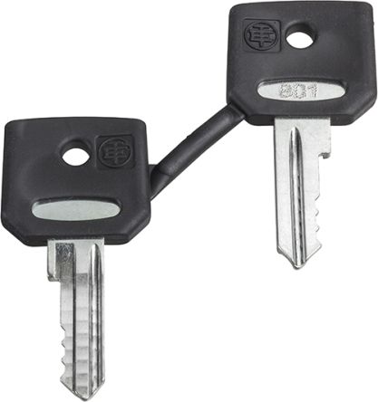 Schneider Electric Schlüsselschalter-Schlüssel Typ Ersatzzubehör Zur Verwendung Mit Not-Aus-Drucktaste