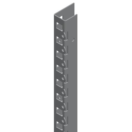 Schneider Electric NSYSMVR Series Vertical Upright For Use With Spacial SM, 1600 X 42mm