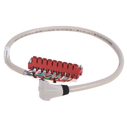 Rockwell Automation Digitale Kabelverbindung Für 1746 SLC 500, 1756 ControlLogix, 1769 CompactLogix, 1771 PLC-5