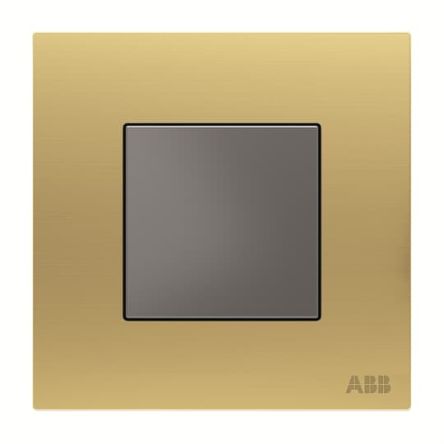 ABB Gold Blanking Plate