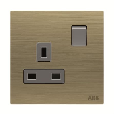 ABB Gold Electrical Socket, 2 Poles, 13A