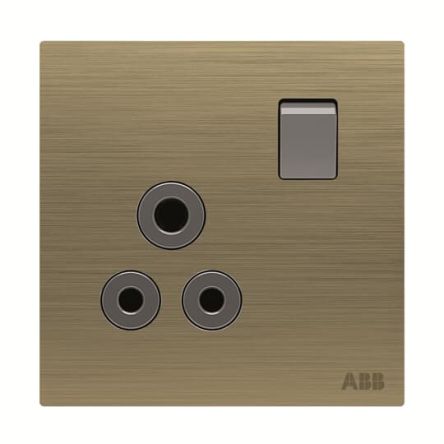ABB Gold Electrical Socket, 2 Poles, 13A